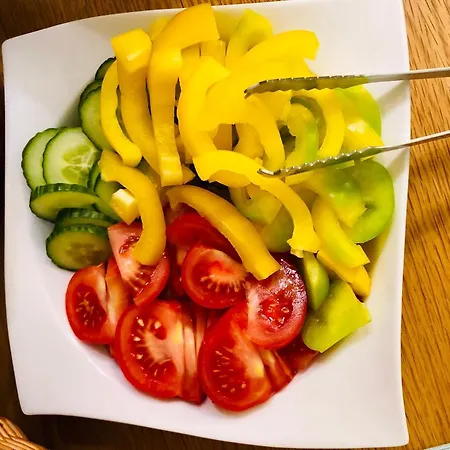 Fruehstueckspension Slanitsch *